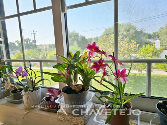 Moradia T3 para Venda em São Pedro de Tomar Foto 18