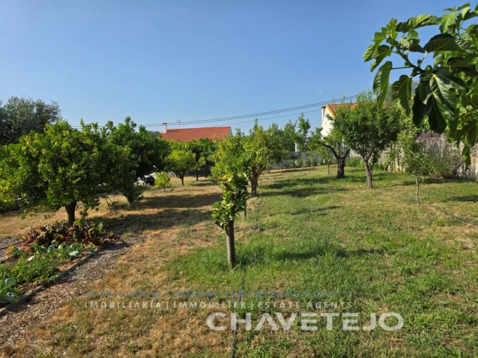 Moradia T3 para Venda em São Pedro de Tomar Foto 95