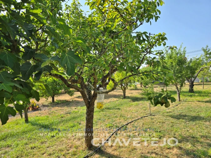 Moradia T3 para Venda em São Pedro de Tomar Foto 97