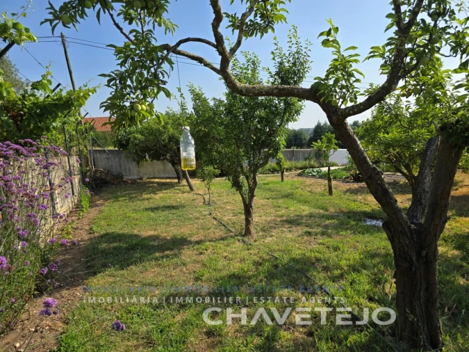 Moradia T3 para Venda em São Pedro de Tomar Foto 98