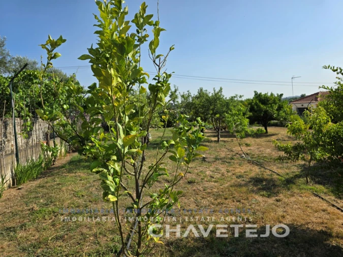 Moradia T3 para Venda em São Pedro de Tomar Foto 100