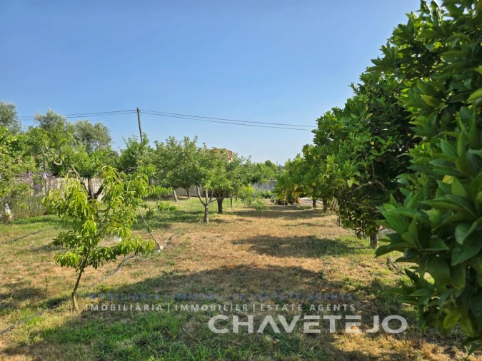 Moradia T3 para Venda em São Pedro de Tomar Foto 102