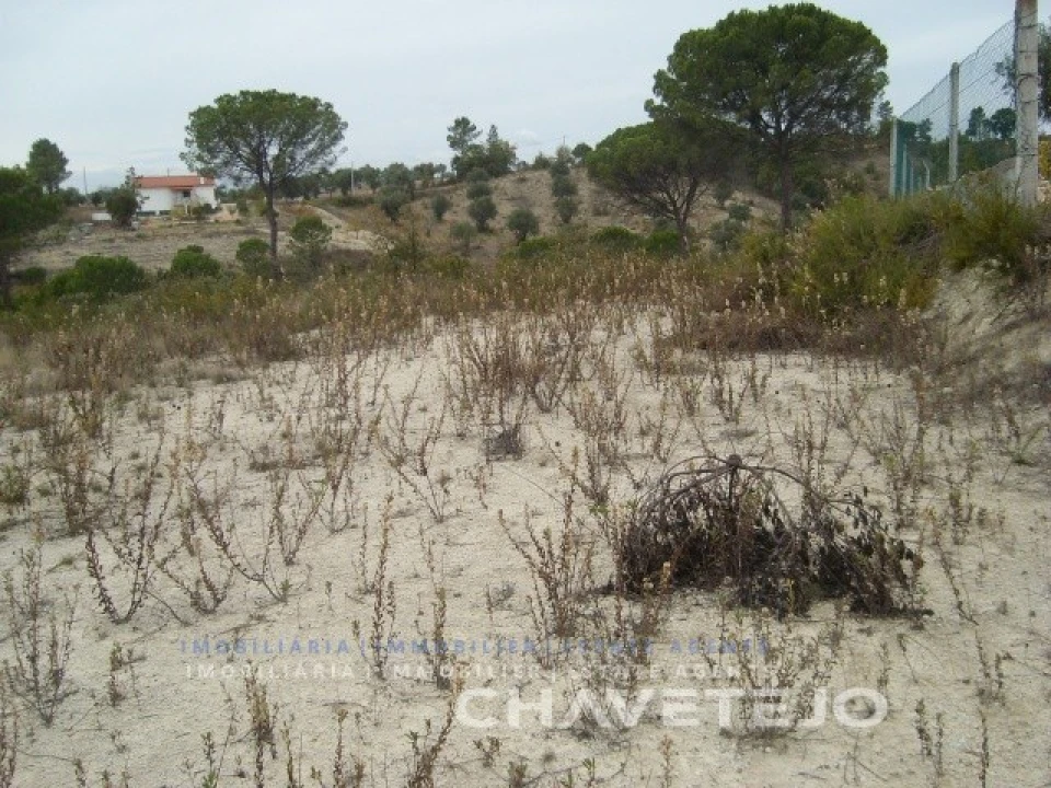 Terreno para Venda em Carregueiros Foto 3