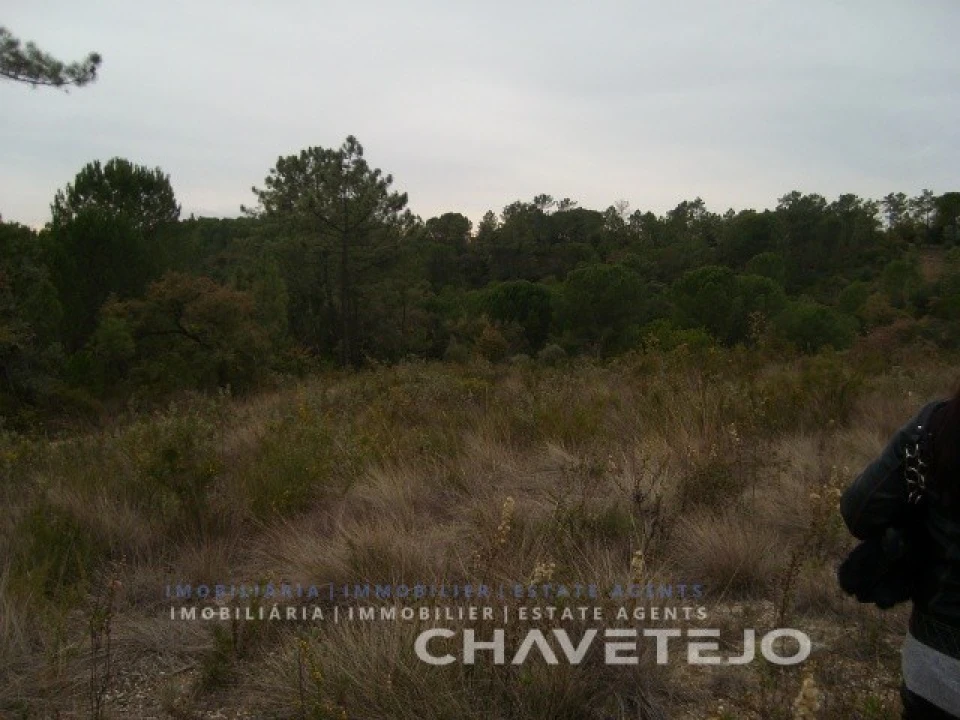 Terreno para Venda em Carregueiros Foto 5