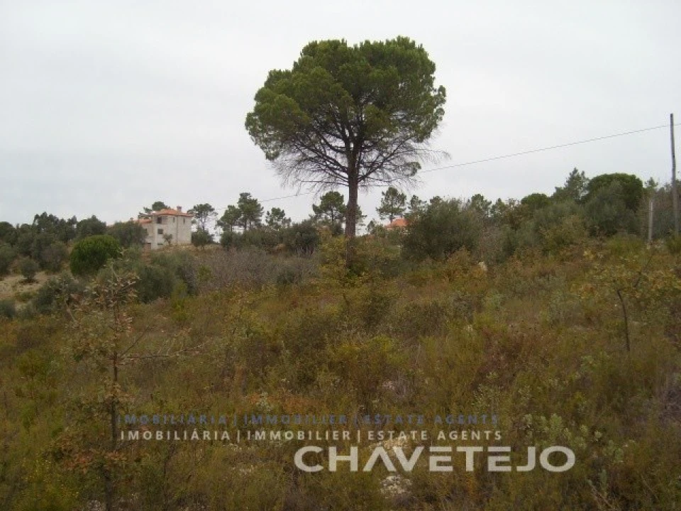 Terreno para Venda em Carregueiros Foto 9