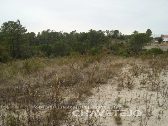 Terreno para Venda em Carregueiros Foto 2