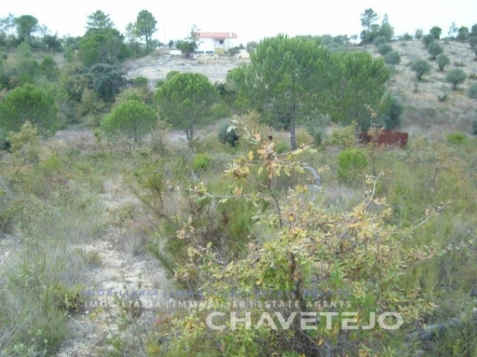 Terreno para Venda em Carregueiros Foto 6