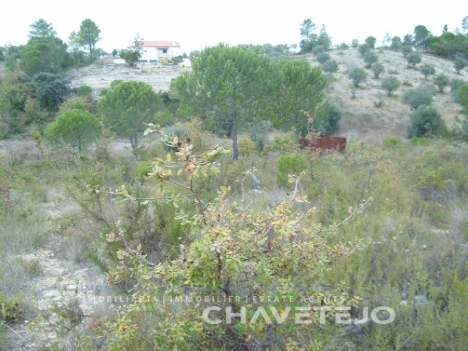 Terreno para Venda em Carregueiros Foto 7