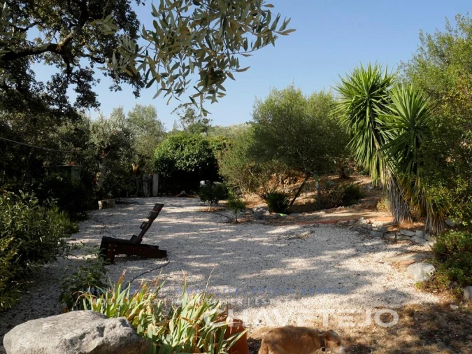 Quinta T3 para Venda em Pelma Foto 36