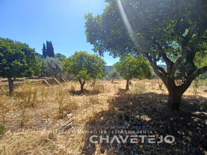 Terreno para Venda em Serra e Junceira Foto 5
