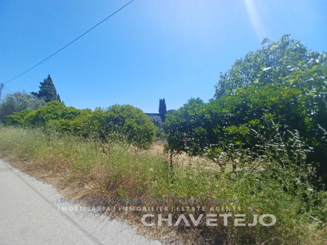 Terreno para Venda em Serra e Junceira Foto 7