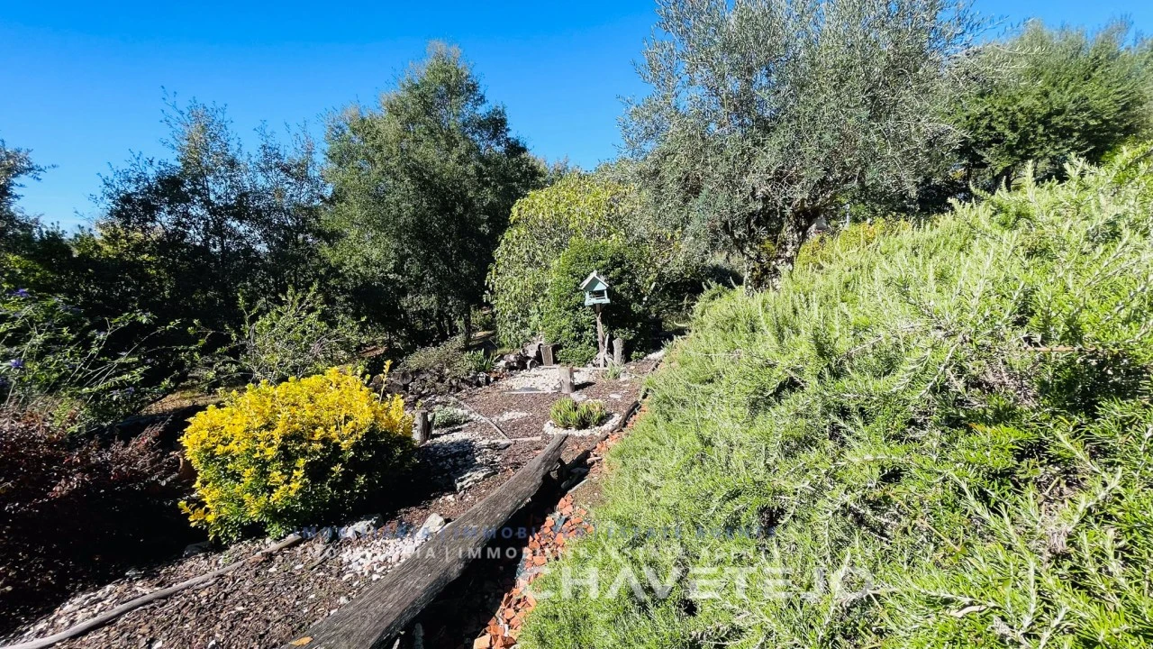 Moradia T3 para Venda em Pousaflores Foto 39