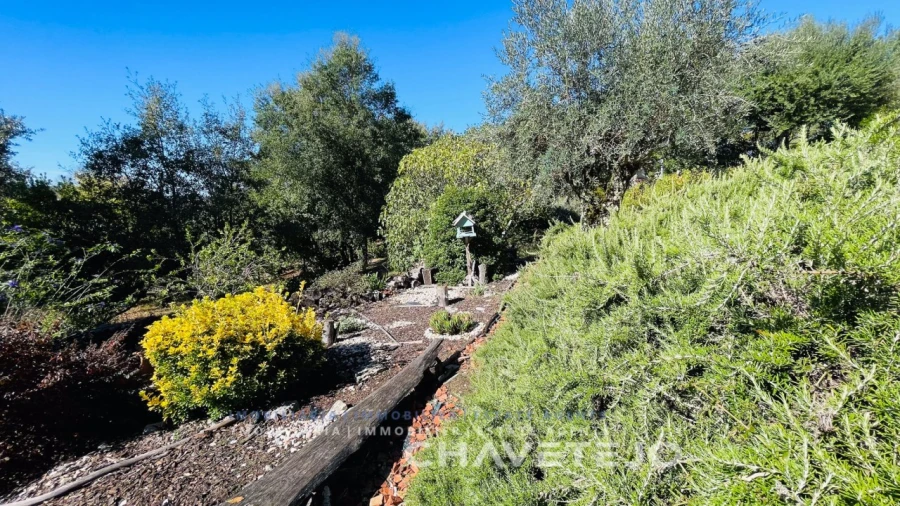 Moradia T3 para Venda em Pousaflores Foto 39