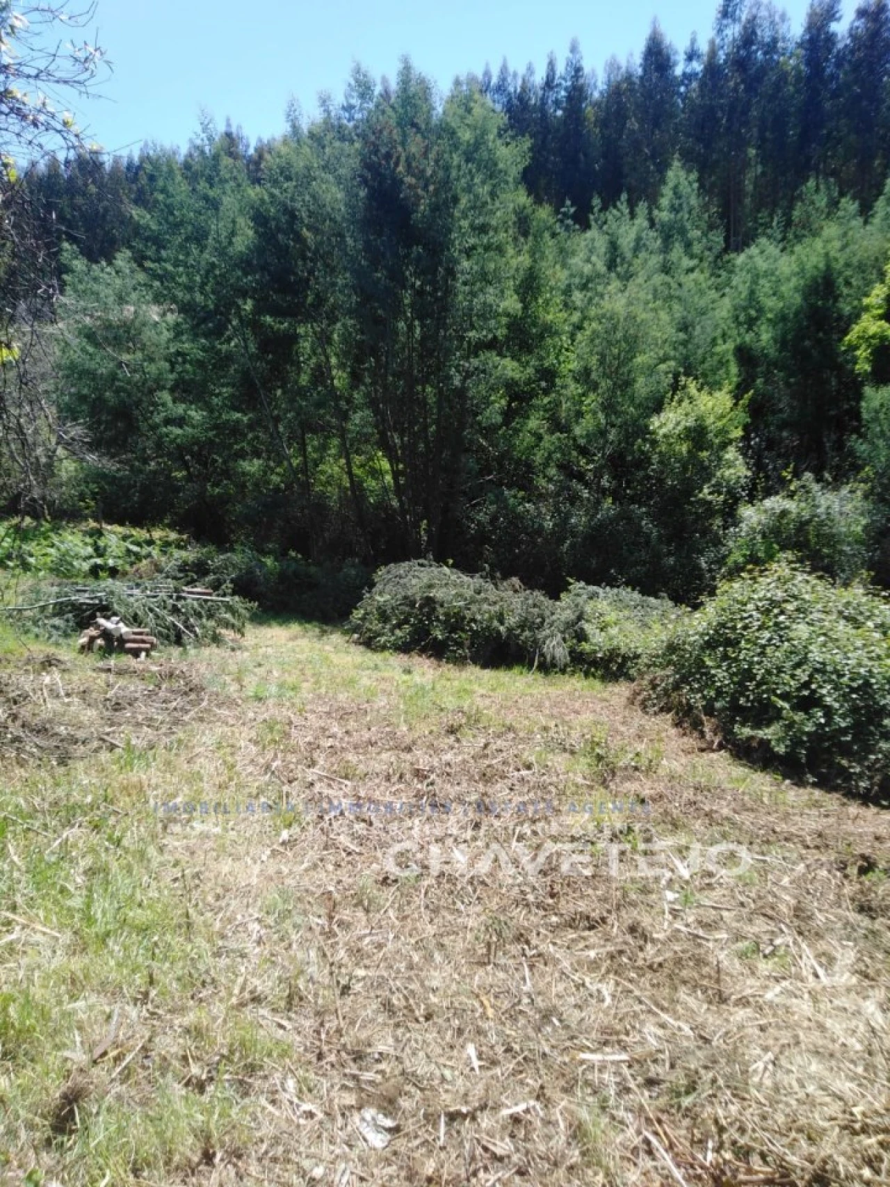 Moradia T2 para Venda em Figueiró dos Vinhos e Bairradas Foto 24