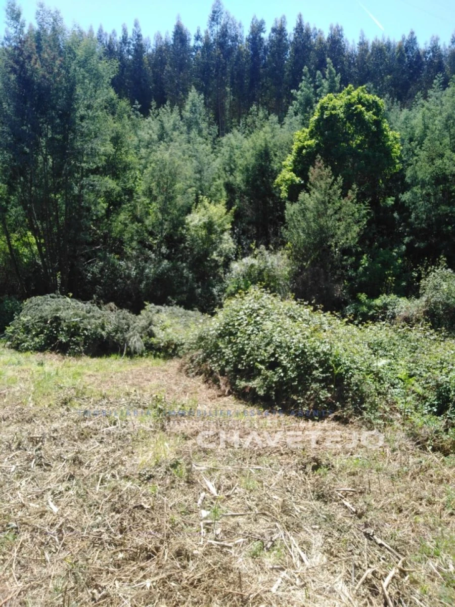 Moradia T2 para Venda em Figueiró dos Vinhos e Bairradas Foto 26