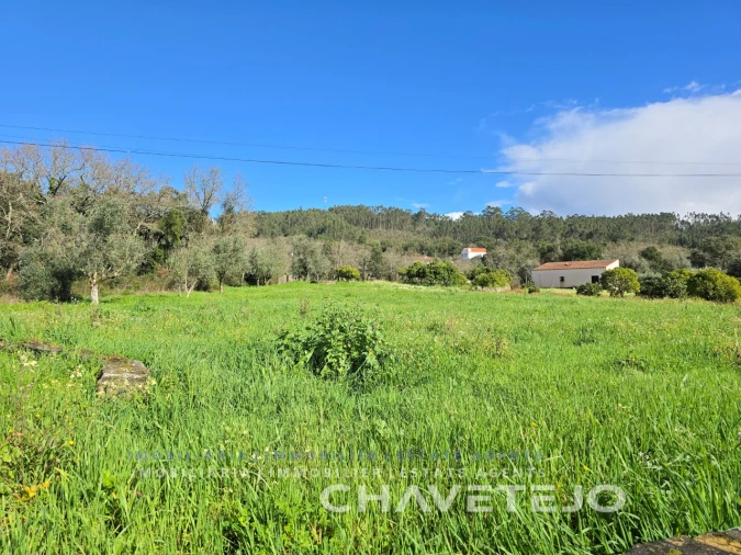 Moradia T4 para Venda em Areias e Pias Foto 19