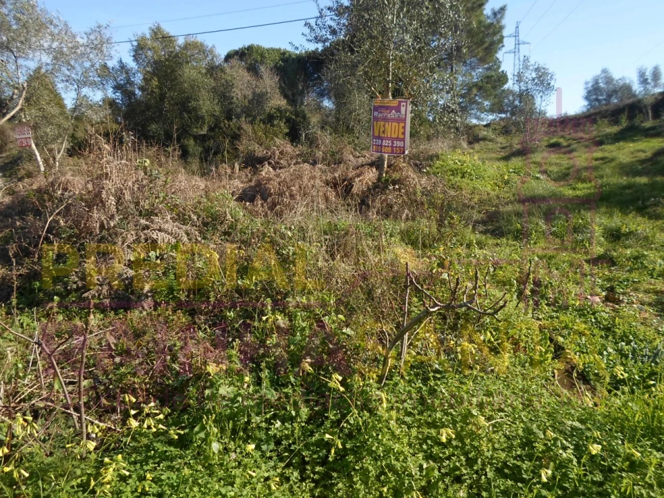 Terreno para Venda em Assafarge e Antanhol Foto 6