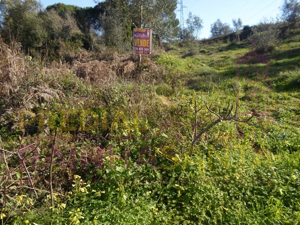 Terreno para Venda em Assafarge e Antanhol Foto 7