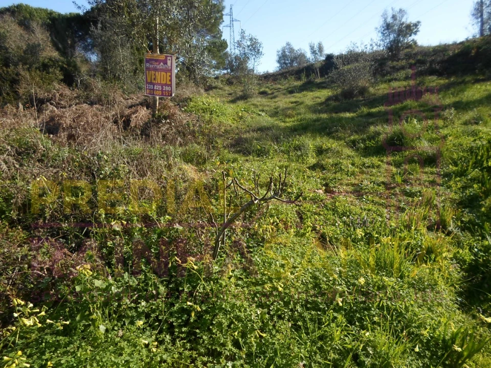 Terreno para Venda em Assafarge e Antanhol Foto 8