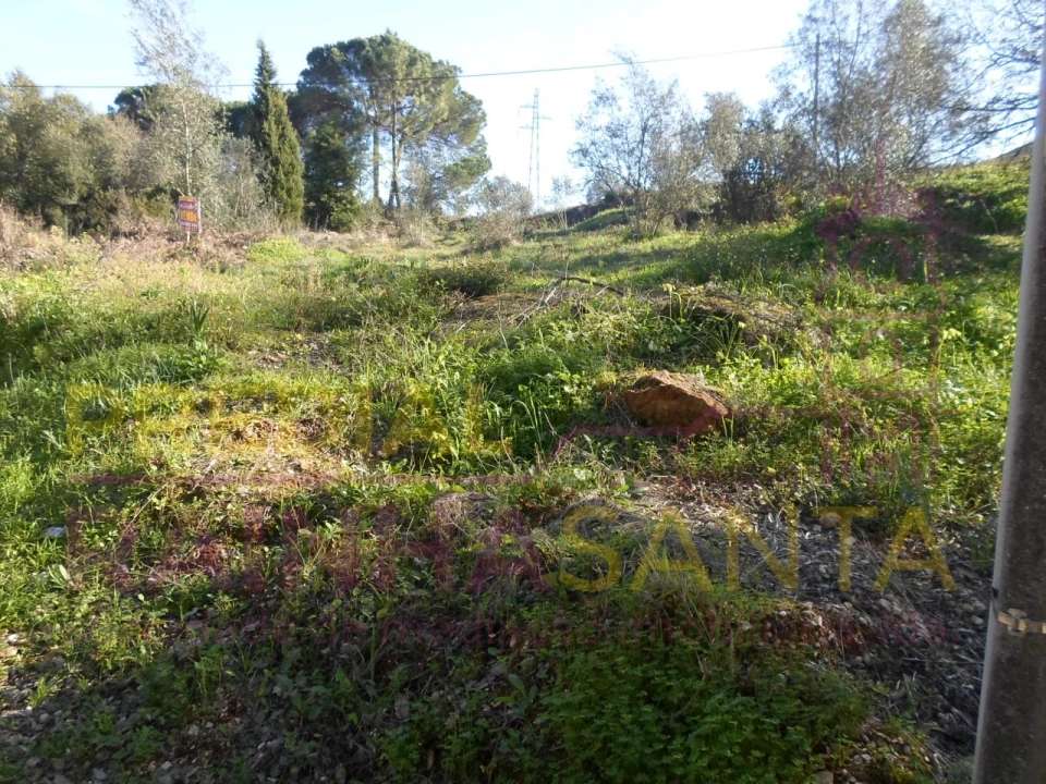 Terreno para Venda em Assafarge e Antanhol Foto 9