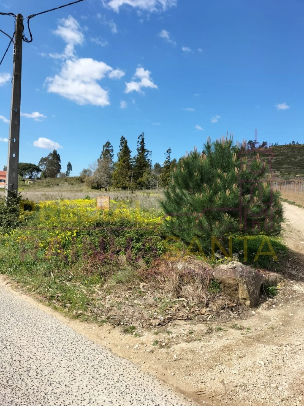 Terreno para Venda em A dos Cunhados e Maceira Foto 2
