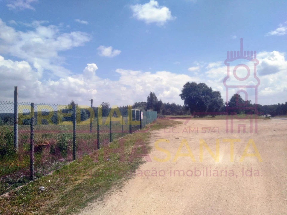 Terreno Agricola ou Rústico para Venda em Alcoentre Foto 2