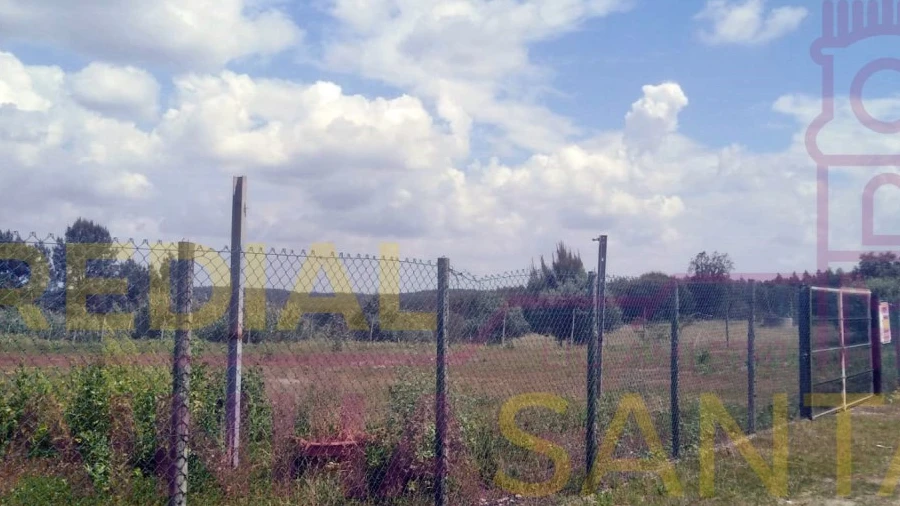 Terreno Agricola ou Rústico para Venda em Alcoentre