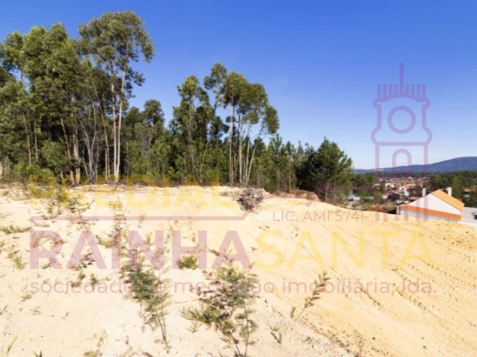 Terreno para Venda em Pampilhosa Foto 3