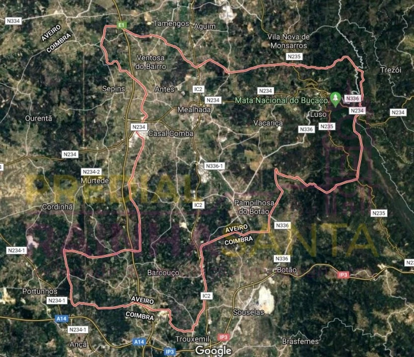 Terreno para Venda em Pampilhosa Foto 4