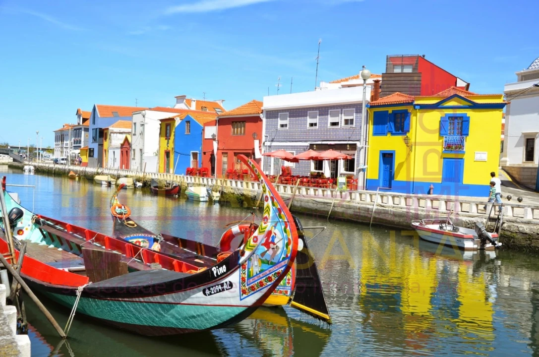 Terreno para Venda em Pampilhosa Foto 6