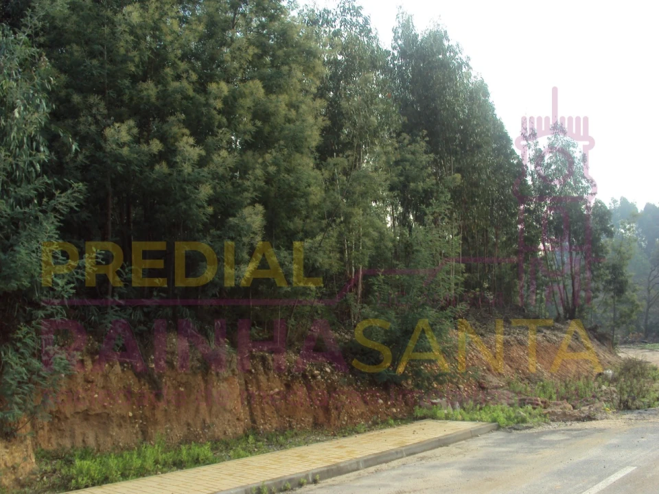 Terreno para Venda em São Martinho do Bispo e Ribeira de Frades Foto 1