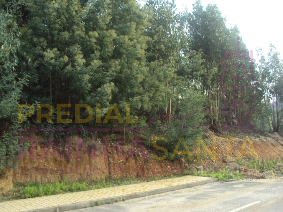 Terreno para Venda em São Martinho do Bispo e Ribeira de Frades Foto 2