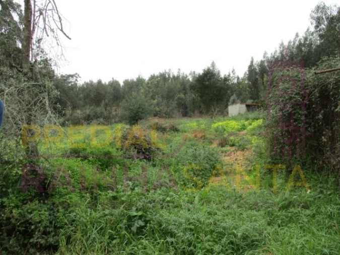 Moradia T2 para Venda em São Martinho do Bispo e Ribeira de Frades Foto 15