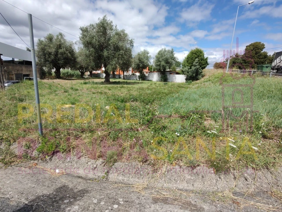Terreno para Venda em São Martinho do Bispo e Ribeira de Frades Foto 6