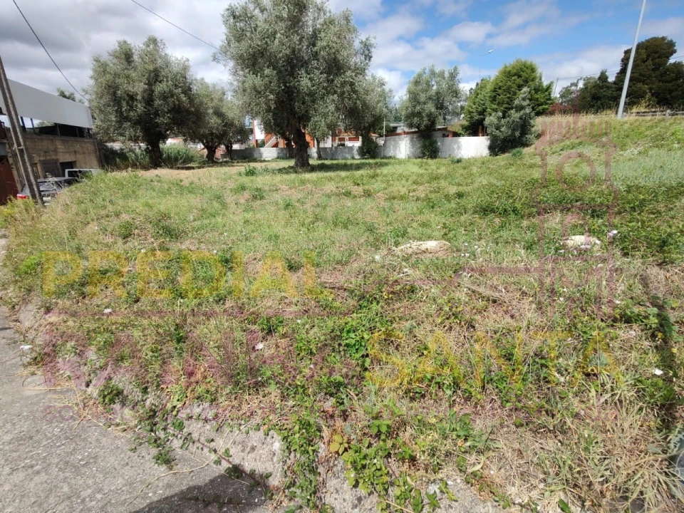 Terreno para Venda em São Martinho do Bispo e Ribeira de Frades Foto 8