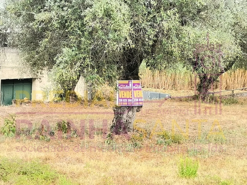 Terreno para Venda em São Martinho do Bispo e Ribeira de Frades Foto 2
