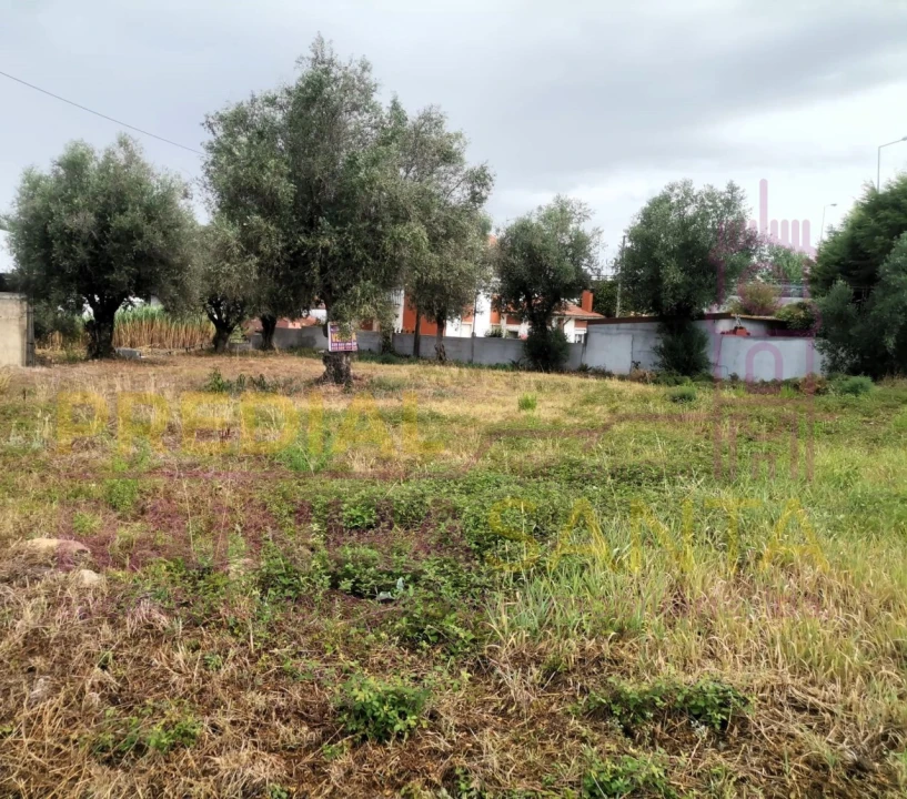Terreno para Venda em São Martinho do Bispo e Ribeira de Frades Foto 1