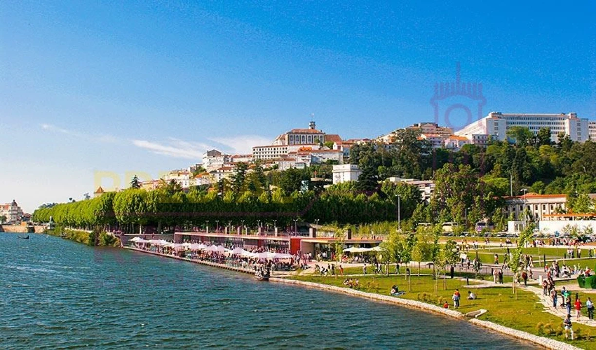 Terreno para Venda em São Martinho do Bispo e Ribeira de Frades Foto 9
