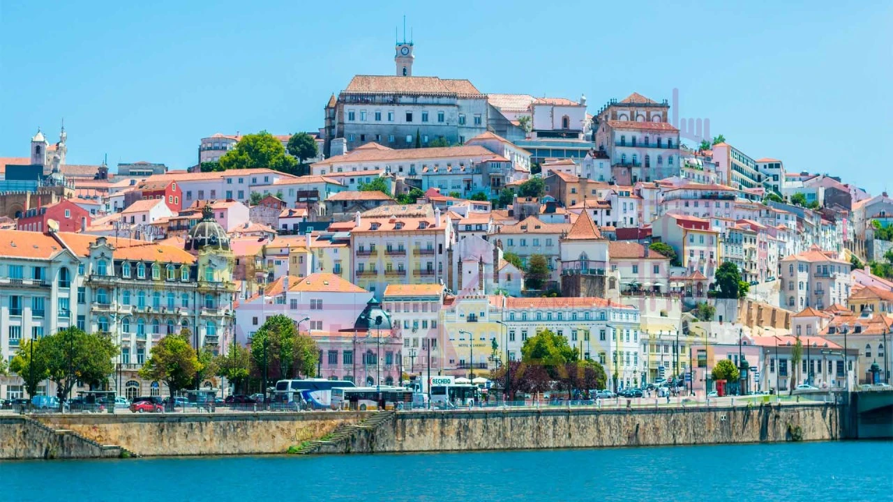 Terreno para Venda em São Martinho do Bispo e Ribeira de Frades Foto 11