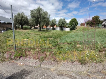 Terreno para Venda em São Martinho do Bispo e Ribeira de Frades