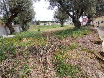 Terreno para Venda em São Martinho do Bispo e Ribeira de Frades
