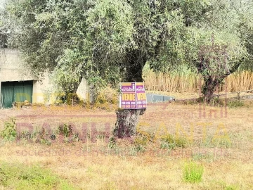 Terreno para Venda em São Martinho do Bispo e Ribeira de Frades