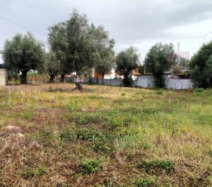 Terreno para Venda em São Martinho do Bispo e Ribeira de Frades