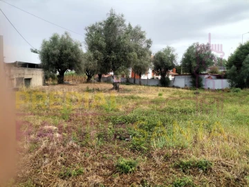 Terreno para Venda em São Martinho do Bispo e Ribeira de Frades