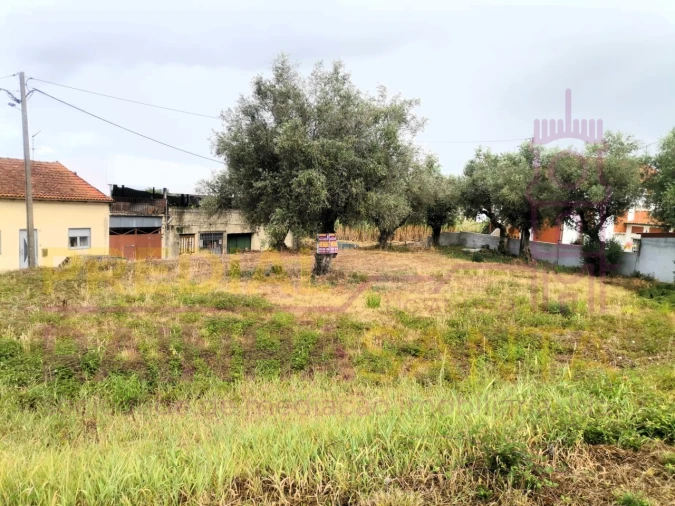 Terreno para Venda em São Martinho do Bispo e Ribeira de Frades Foto 3