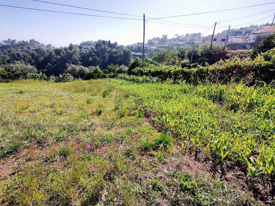 Quinta T4 para Venda em Arrifana Foto 9