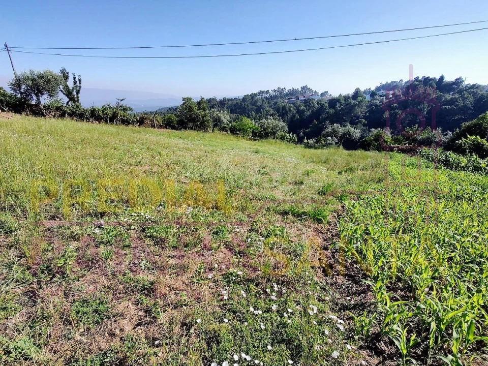 Quinta T4 para Venda em Arrifana Foto 11