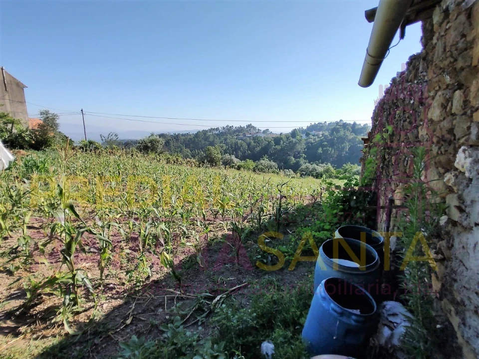 Quinta T4 para Venda em Arrifana Foto 12