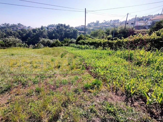 Quinta T4 para Venda em Arrifana Foto 9