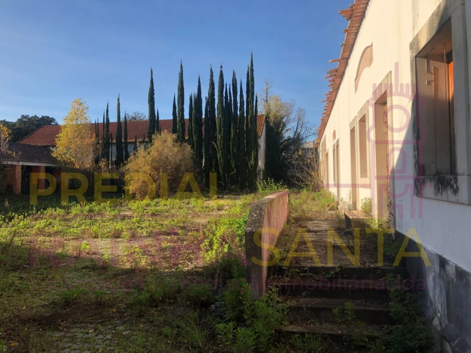 Moradia T6 para Venda em Santa Margarida da Coutada Foto 13